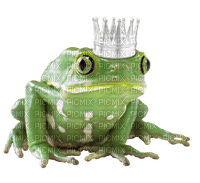 fantasy frog crown - zdarma png