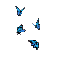blue butterflies - Безплатен анимиран GIF
