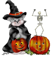 cat citrouille halloween gif - Zdarma animovaný GIF