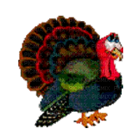 pavo thanksgiving gif dubravka4 - Free animated GIF