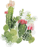 cactus Bb2 - ilmainen png