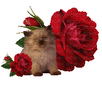 dolceluna spring cat vintage deco glitter rose - 免费动画 GIF