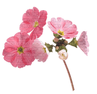 pink flower pink fleur - Free PNG