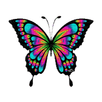 Mariposa - 免费动画 GIF