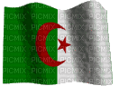 Drapeau Algérien - GIF animé gratuit