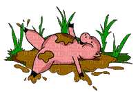 cochon - GIF animado gratis