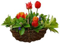 Basket of flowers - nemokama png