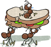ants - PNG gratuit