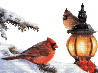 Winter. Birds. Leila - GIF animate gratis