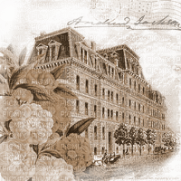 Y.A.M._Vintage backgrounds sepia - zadarmo png