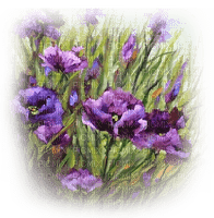 flores lila dubravka4 - фрее пнг