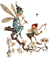 Fairys - Gratis animeret GIF