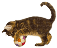 Kaz_Creations Cats Cat - PNG gratuit