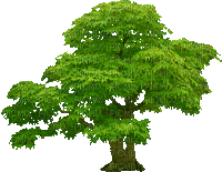 Baum - GIF animado gratis