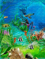 poisson tortue aquarium hippocampe - Animovaný GIF zadarmo