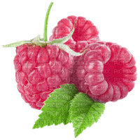 fruits - δωρεάν png