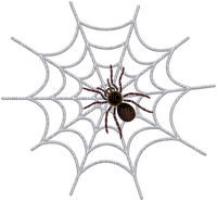 spider web bp - darmowe png