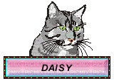jtm daisy54 - Gratis animeret GIF