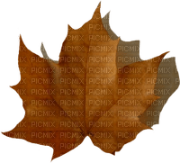 Brown Leaf-RM - 免费PNG