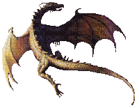 dragon volant - GIF animado grátis