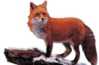 dolceluna fox - png gratis
