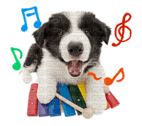 the dog line sticker - 免费PNG