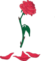 red rose with falling petals - png ฟรี