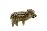 charmille _ animaux _ sauvages - 免费PNG