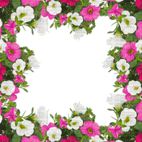 Pink and White Flowers Frame - ücretsiz png