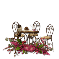 minou-table-chairs-cat-flowers-bord-stolar-katt-blommor