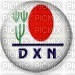 DXN - ingyenes png