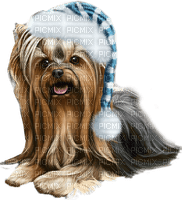 Kaz_Creations Christmas Dog Pup Dogs Colours - Free PNG