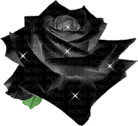 rose noire 1 - Ilmainen animoitu GIF