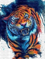 maj tigre coloré - 無料png