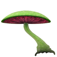 mushroom - bezmaksas png