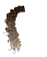 cheveux - PNG gratuit