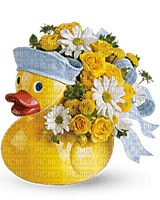 Kaz_Creations  Flowers Vase Plant Duck Baby Boy - PNG gratuit