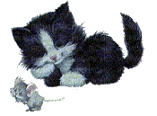 chat et la souris - Gratis animeret GIF