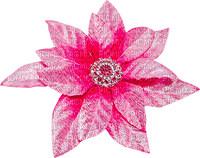 Christmas.Flower.Pink - δωρεάν png