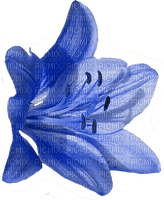blume flowers - 免费PNG