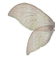 крылья - Ingyenes animált GIF
