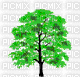 tree-3-NitsaPap - 無料のアニメーション GIF