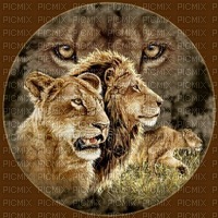 lion bp - PNG gratuit
