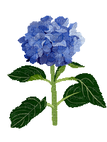Flor azul - GIF animado grátis