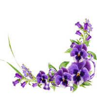 violets flowers corner, sunshine3 - PNG gratuit