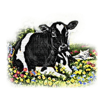 vache - kostenlos png