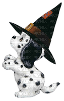 Halloween, Hund, Dalmatiner, Hut - безплатен png