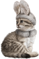 Kaz_Creations Cats Cat Kittens Kitten - Free PNG