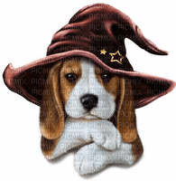 Dog Puppy Chien Halloween Witch - 無料png