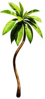 Planta color verde - безплатен png
